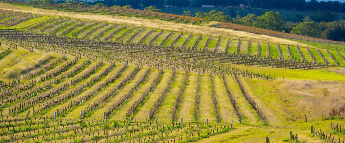New South Wales showing farmland and landscape views
