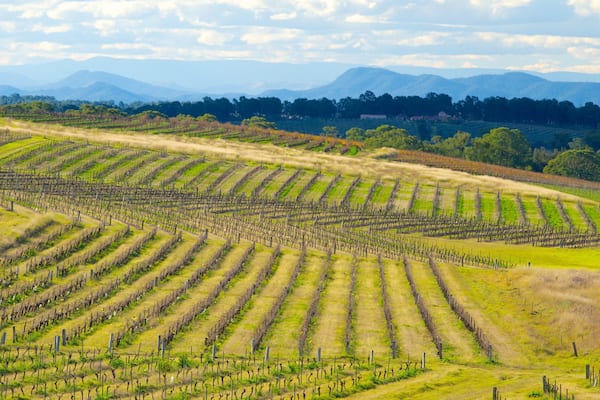 New South Wales showing farmland and landscape views