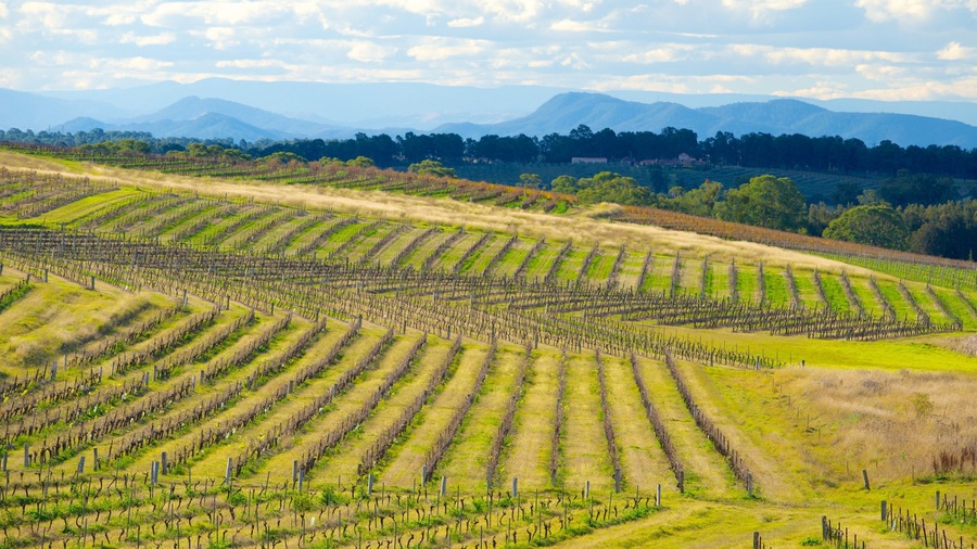 New South Wales showing farmland and landscape views