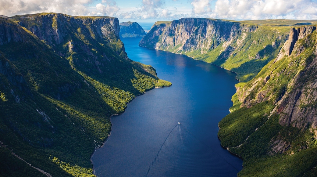 Newfoundland and Labrador featuring a river or creek and a gorge or canyon