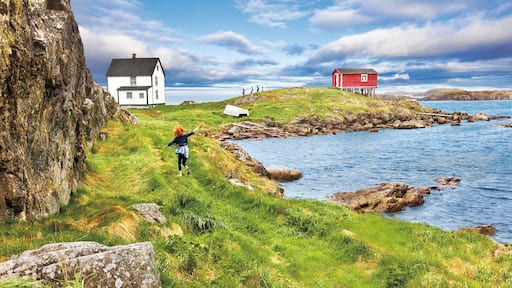 A coastal landscape with a grassy cliff, a white house, and a red house.