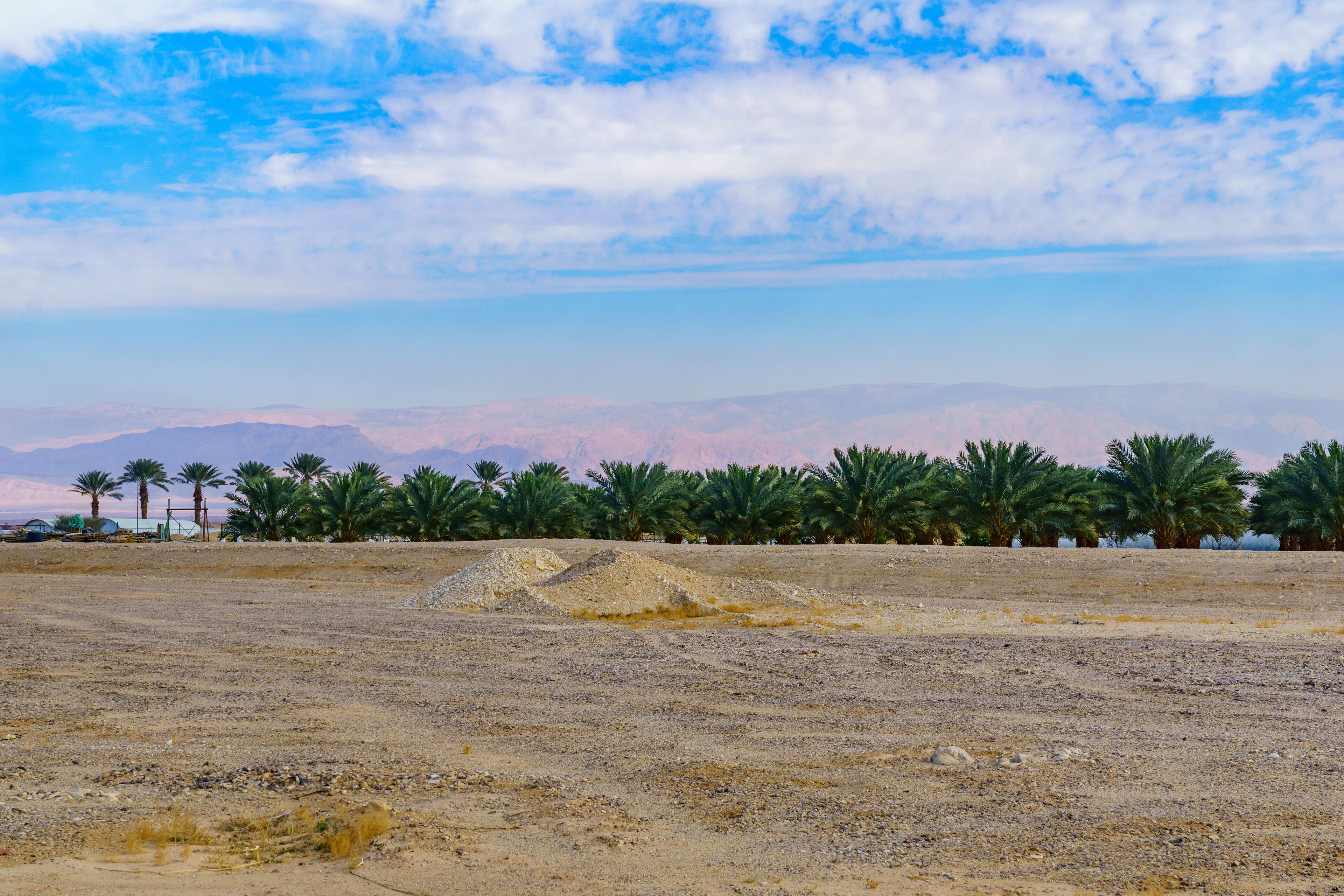 A desert landscape with palm trees and distant mountains under a partly cloudy sky.