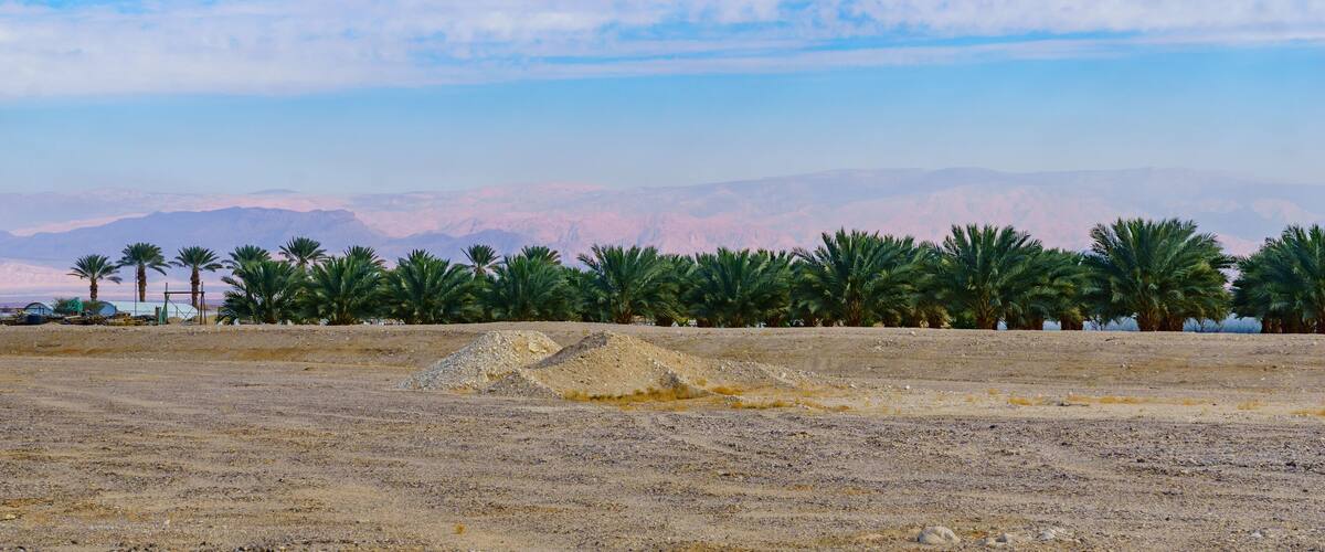 A desert landscape with palm trees and distant mountains under a partly cloudy sky.