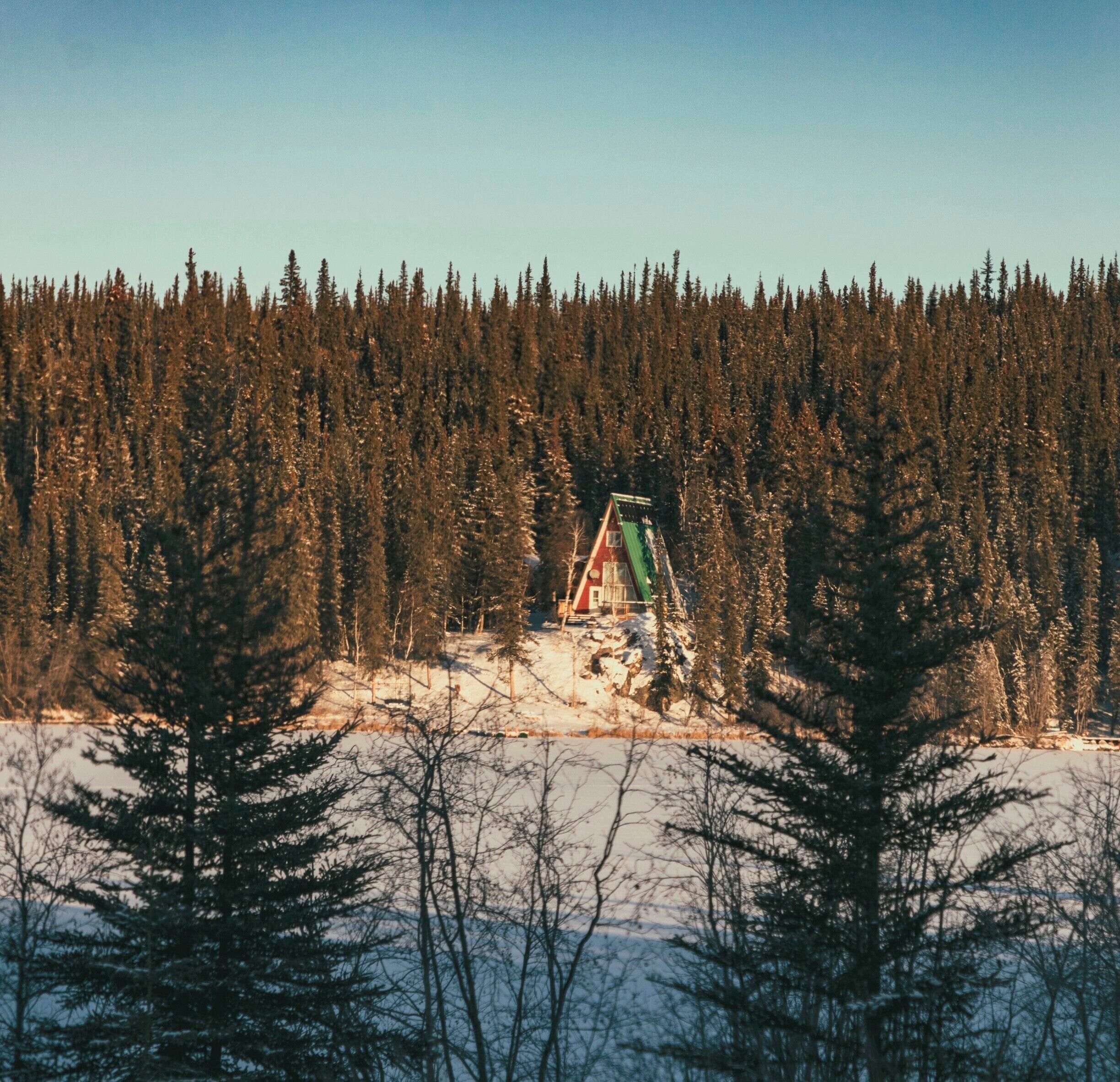 Have you ever seen a better house to read a book next to the fire?