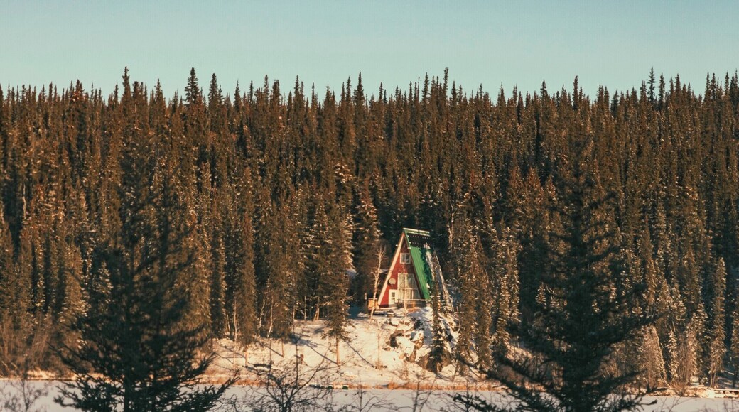 Have you ever seen a better house to read a book next to the fire?