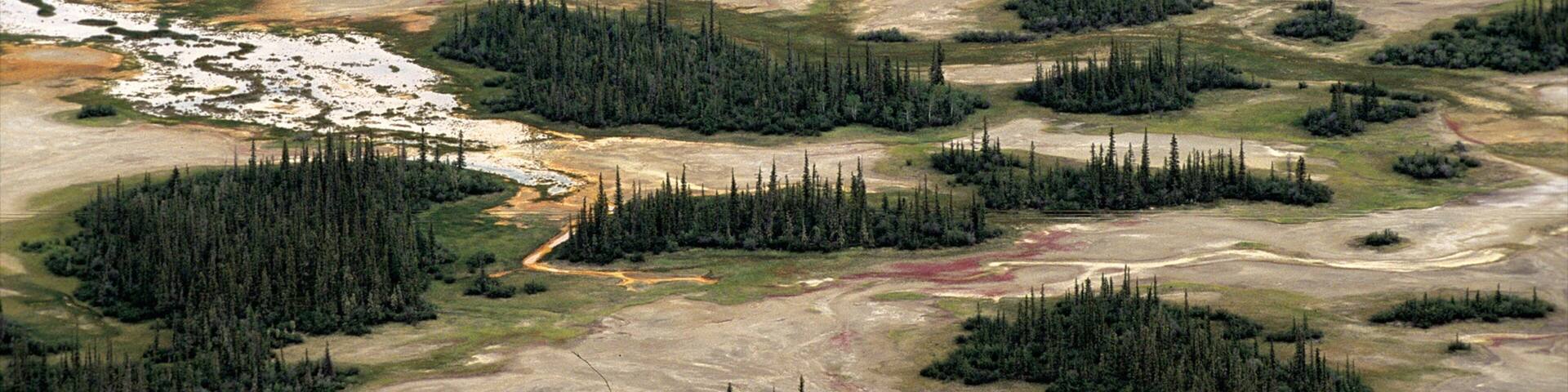 Territórios do Noroeste mostrando cenas tranquilas e florestas