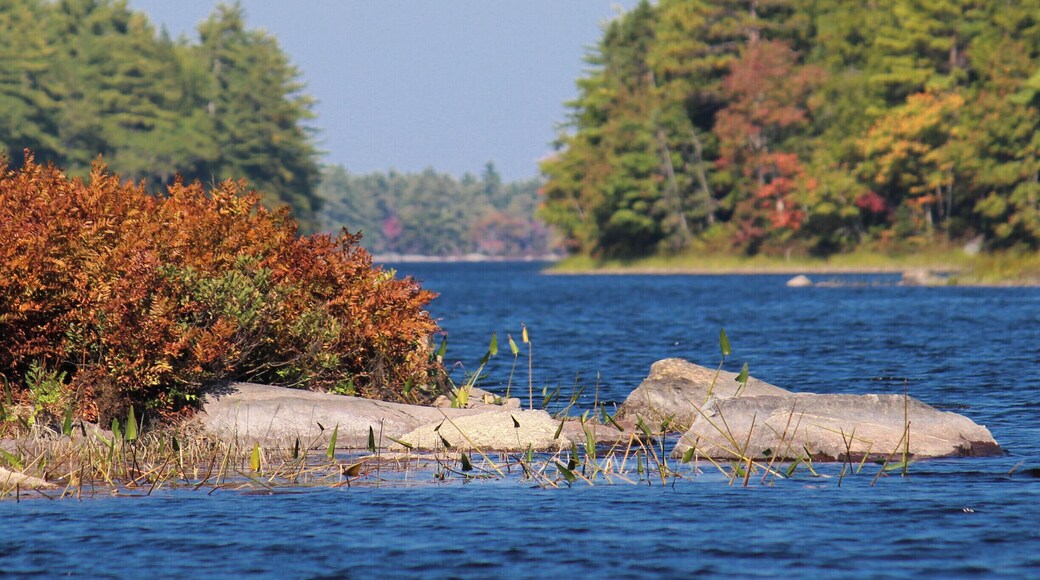 Keji inland National Park is an excellent place for canoeing. Plenty of islands, brooks, and streams to explore.