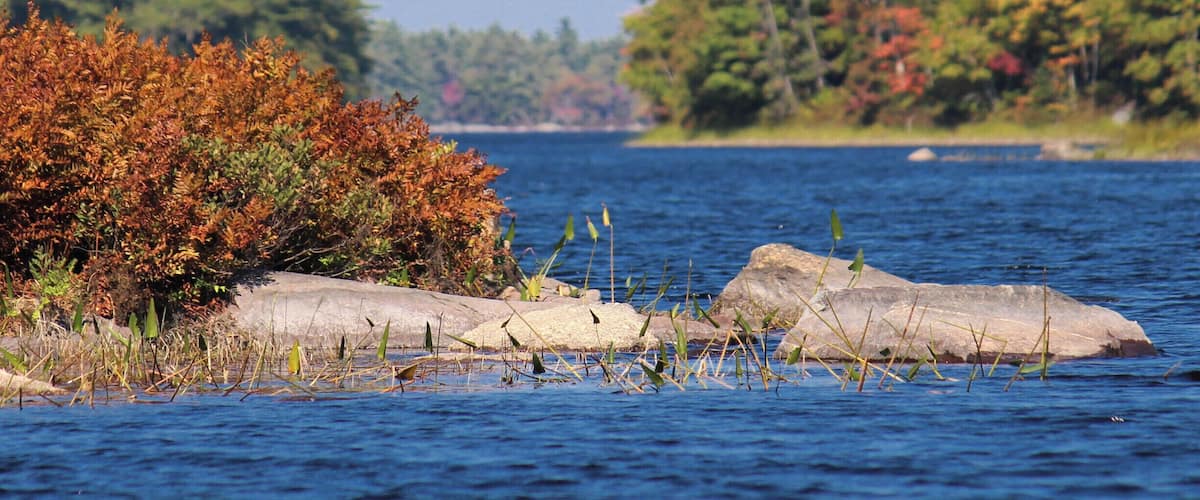 Keji inland National Park is an excellent place for canoeing. Plenty of islands, brooks, and streams to explore.