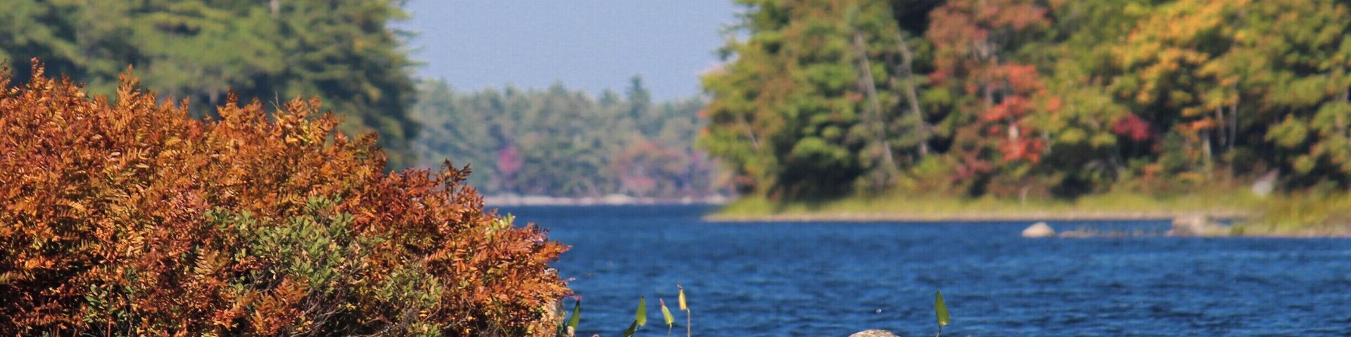 Keji inland National Park is an excellent place for canoeing. Plenty of islands, brooks, and streams to explore.