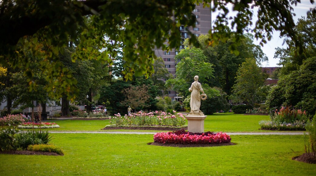Jardins publics d\'Halifax montrant statue ou sculpture et jardin