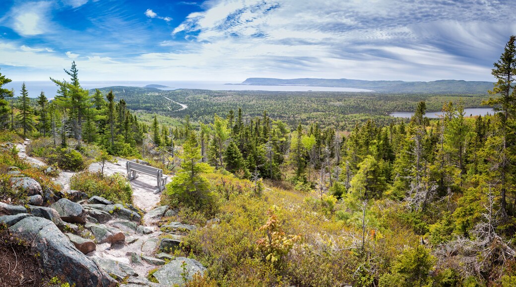 Un paysage montagneux boisé, avec un banc offrant une vue sur une vallée.