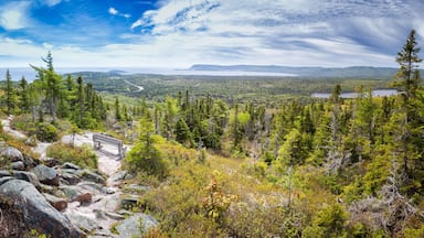 Un paysage montagneux boisé, avec un banc offrant une vue sur une vallée.