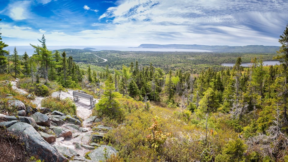 A forested mountain landscape with a bench overlooking a valley.