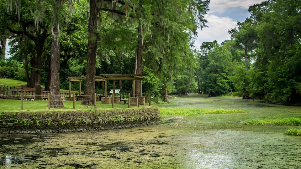 A serene park with a pond, wooden structures, and lush greenery.