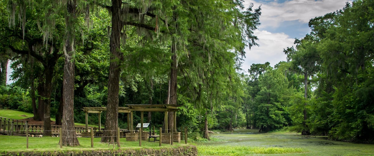 A serene park with a pond, wooden structures, and lush greenery.