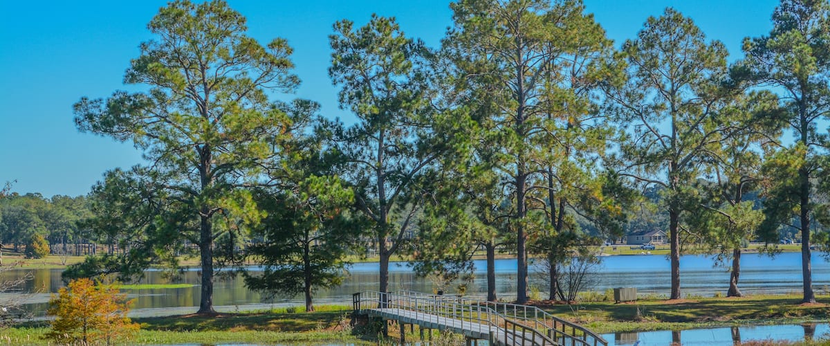 Un pont enjambant un lac, avec des arbres et un ciel bleu clair.
