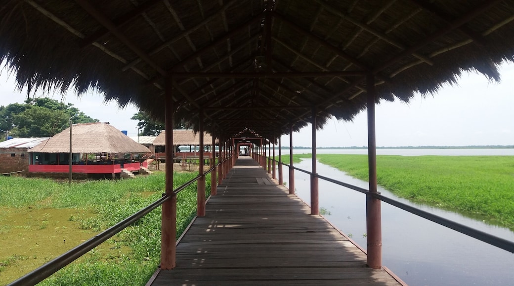 El Llanito es un corregimiento de Barrancabermeja, Santander. Al llegar encontramos que sus habitantes se dedican al turismo, por ejemplo, a la venta de comida típica, los paseos en lancha o moto acuática y el alquiler de hamacas, etc. Si estás en Barrancabermeja lo mejor que puedes hacer es ir a El Llanito y apoyar el trabajo de estas personas. Las comidas deliciosas y el paisaje inigualable. Vista de más de 180° a la Ciénaga.