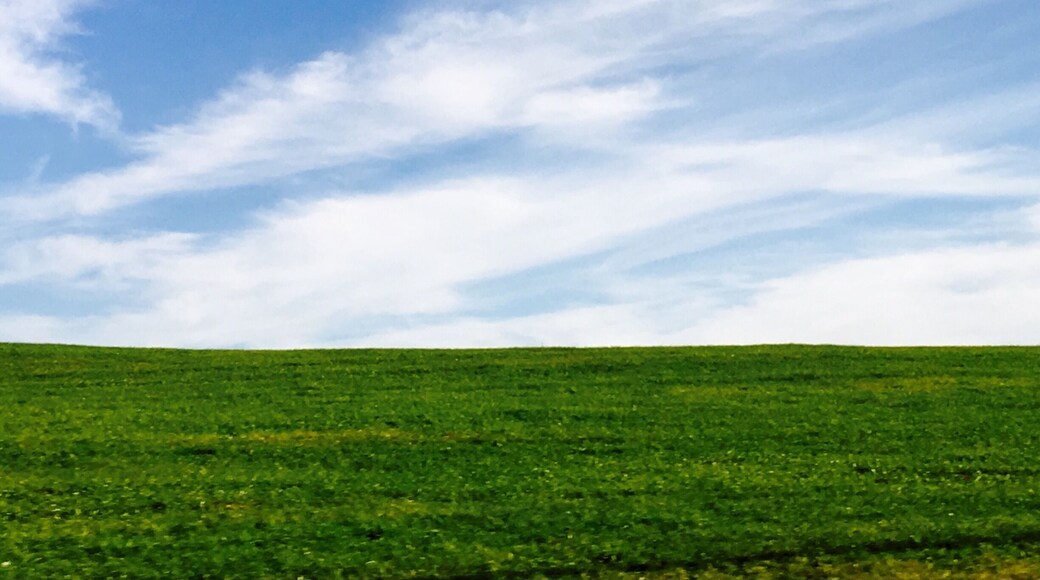 Is look like windows Xp