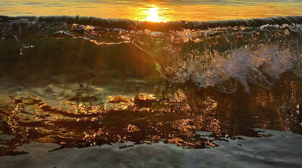 Golden start to the day down at the northern beaches in Mackay! đ
đ Very handy having my @olloclip Telephoto zoom Active Lens which lets me get up close with the waves and help keep my iPhone far away enough from the water so it doesn't go for a swim! đ
đ±đ đŽđ
#olloclip #meetmackayregion #thisisqueensland #seeaustralia
