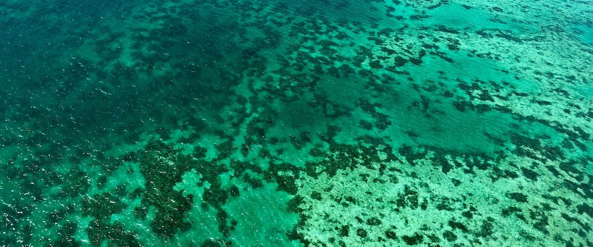 The great Barrier Reef Australia...