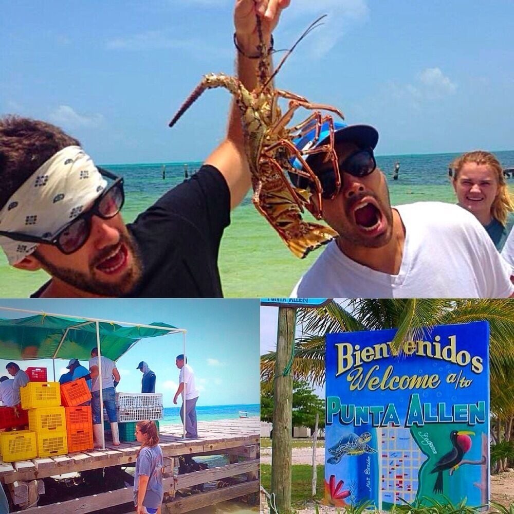 If you are staying in Tulum or playa del carmen, Punta Allen is a great day trip to experience. Punta Allen is the largest village in the Sian Ka'an Biosphere Reserve at the end of the Boca Paila peninsula

We bought lobsters right off the boat and a local family owned restaurant on the beach cooked them up for us! Doesn't get more fresher than that!

Tip: You need to start your day early and make sure you rent a jeep to go through the Sian Ka'an Biosphere because it a a bumpy ride!

#mexico #adventure #secretparadise #offthebeatenpath #puntaallen #offroading #colorful

