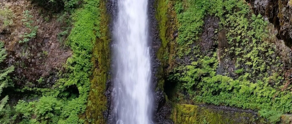 One of the falls on this beautiful hike. The trail goes through a tunnel behind the falls. Continue on the trail for more falls and creek side opportunities to enjoy the water plus camping. The 13 mile trail ends at Wahtum Lake.