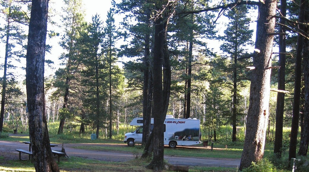 Parked up at Cypress Hills, near Maple Creek on an RV trip across Canada. Cypress Hills is a Dark Sky Reserve with unbelievable starry nights. Unfortunately I didn't get a photo!