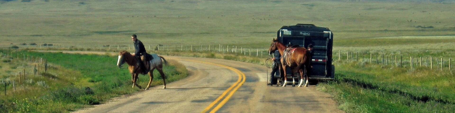 While driving round quiet roads between Maple Creek & the Saskatchewan region of Cypress Hills Interprovincial Park we were pulled to a stop to allow some real life cowboys (& girl) to mount up. They eventually headed off into the field to the right apparently to round up a stray. A wonderful experience and an insight into everyday life on these vast open plains.
#GreatOutdoors