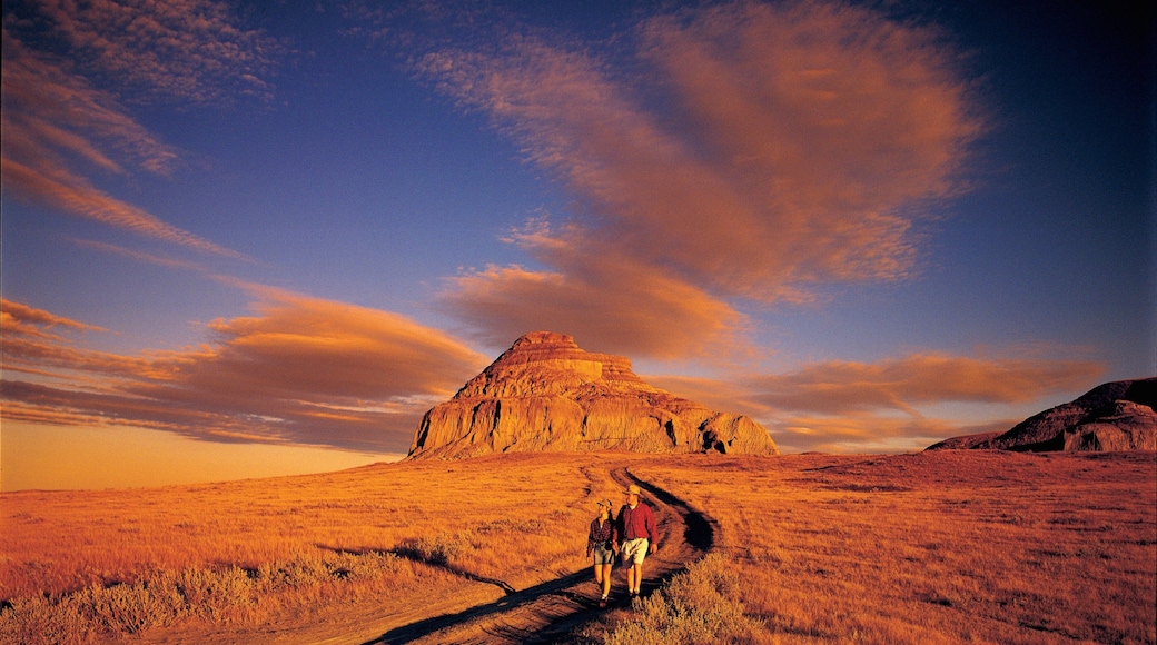 Saskatchewan showing tranquil scenes, a sunset and hiking or walking