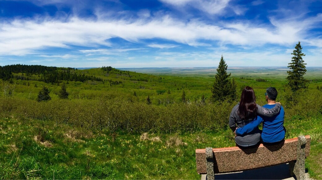 We are at the Lookout Point with an elevation of 1275m. This spot is the best in the park where you can see the vast Saskatchewan prairies. Before sunset is the best time to be there unless it's windy and rainy. It's so relaxing up there😎