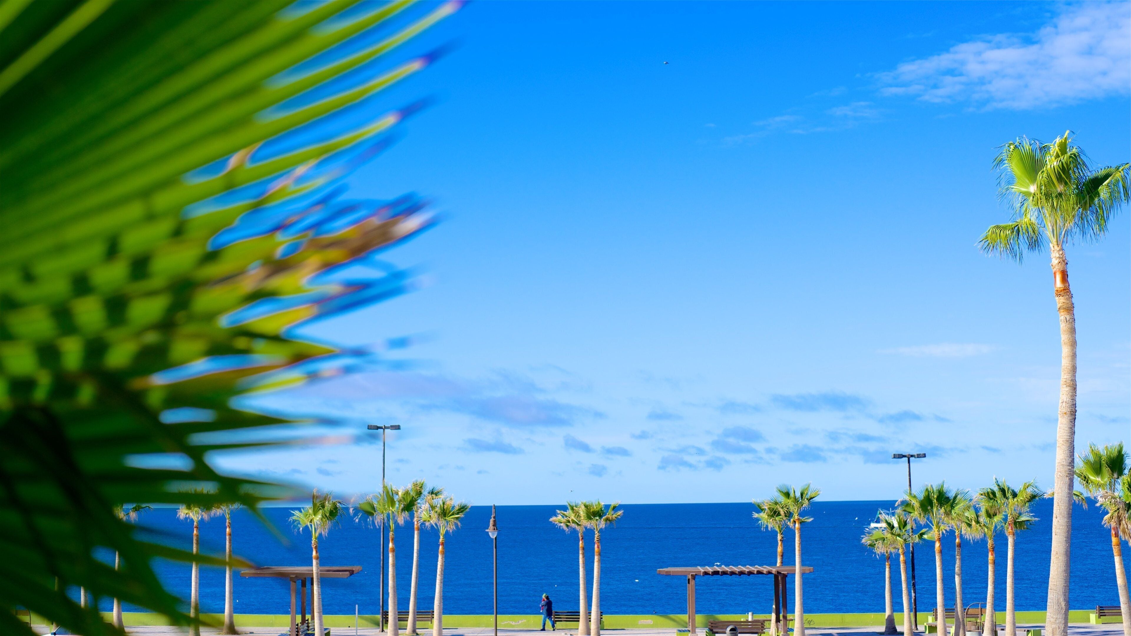México ofreciendo vista general a la costa y una bahía o un puerto