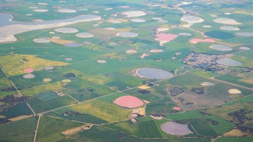 Vue aérienne d’un paysage comprenant de nombreux plans d’eau de forme circulaire et des champs verdoyants.