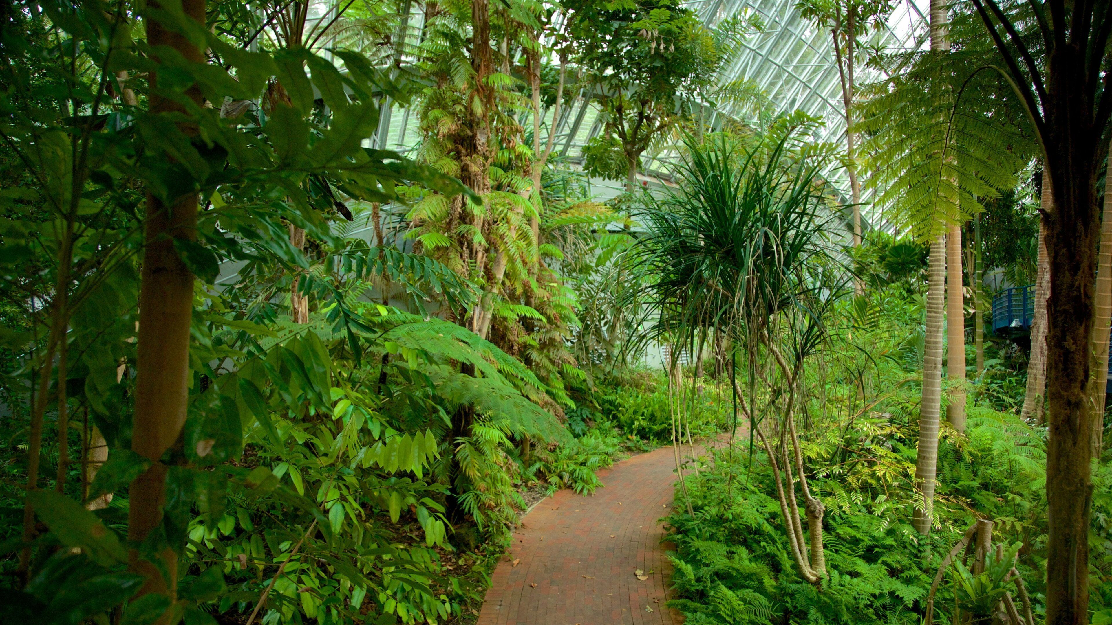 Austrália Meridional que inclui um parque e vistas internas