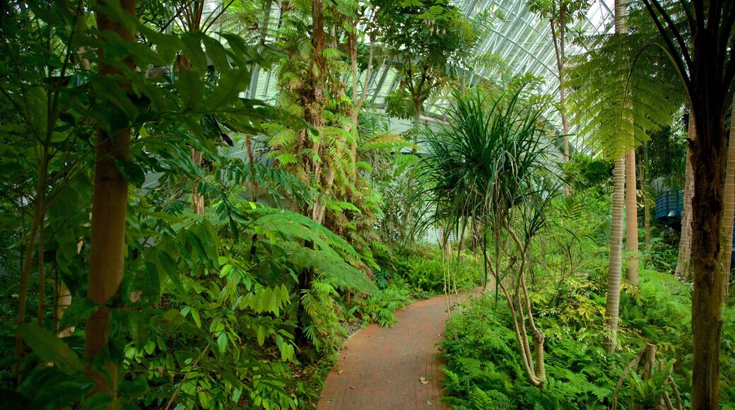 South Australia which includes interior views and a garden