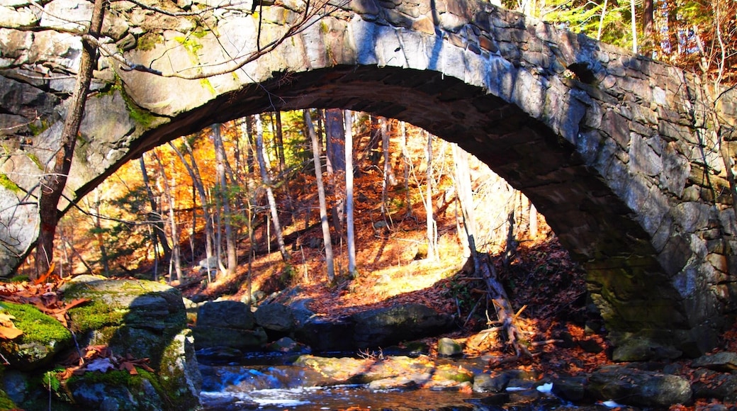 Beautiful park in Hallowell