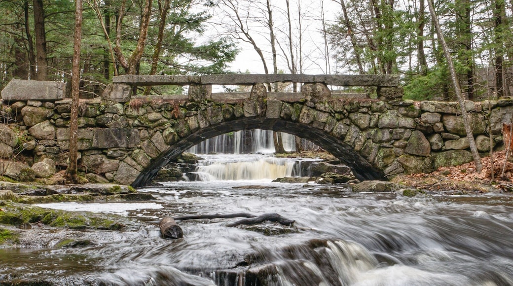 A short walk through the woods brings you to these beautiful waterfalls in Hallowell, outside of Augusta, Maine.
Read more on my blog: http://www.ericsturgeon.com/blog/vaughan-woods-waterfalls-hallowell/