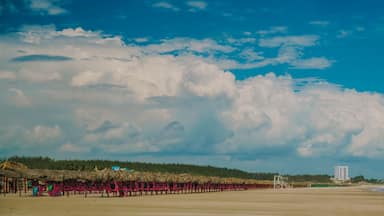 Playa Miramar de Ciudad Madero Tamaulipas México