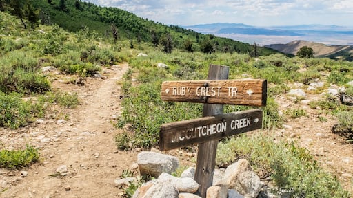 Trail sign along Ruby Crest National Recreation Trail, Elko, Nevada, USA