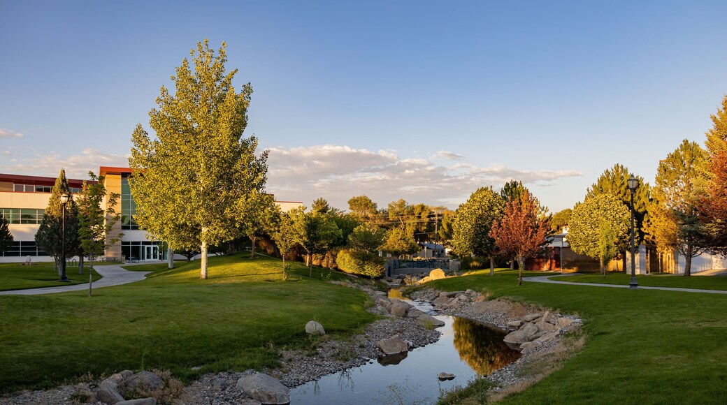 Elko