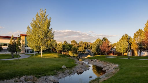 Elko