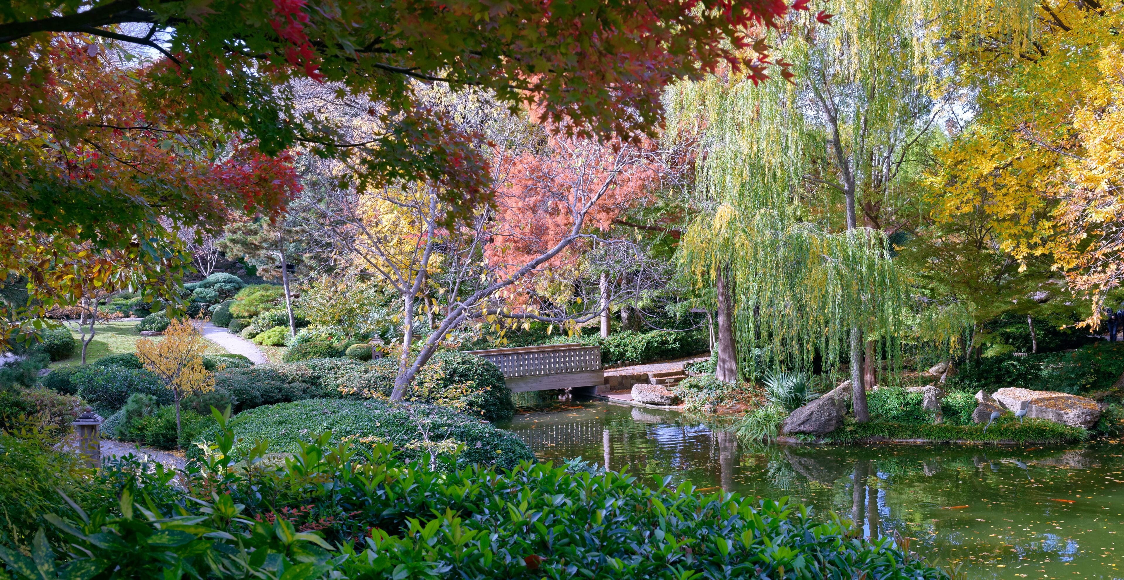 A serene garden with a pond, a wooden bridge, and autumn-colored trees.