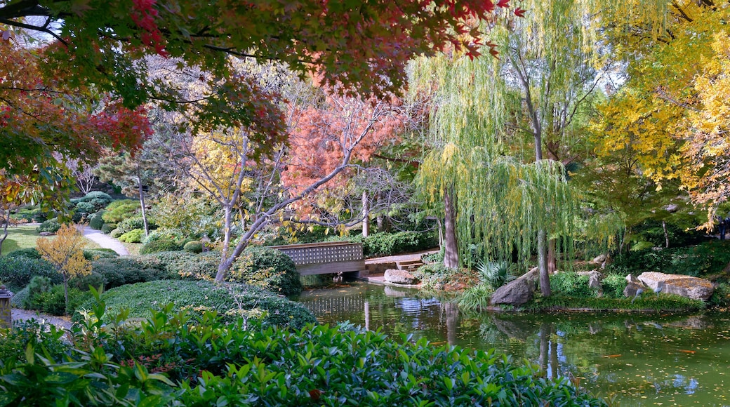 A serene garden with a pond, a wooden bridge, and autumn-colored trees.