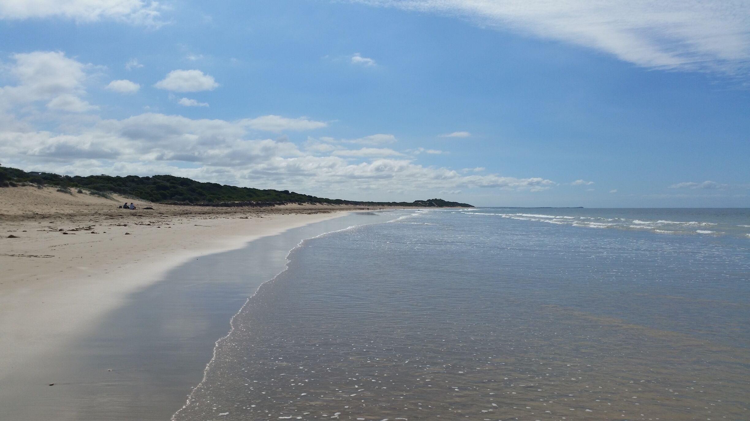 Hello sparkly sunny Victorian day! Fishermans Beach in Torquay is the perfect expansive stretch of coast for a long walk on the beach and parts of it are dog friendly and dog off lead so its a great stop if your travelling with pets!
