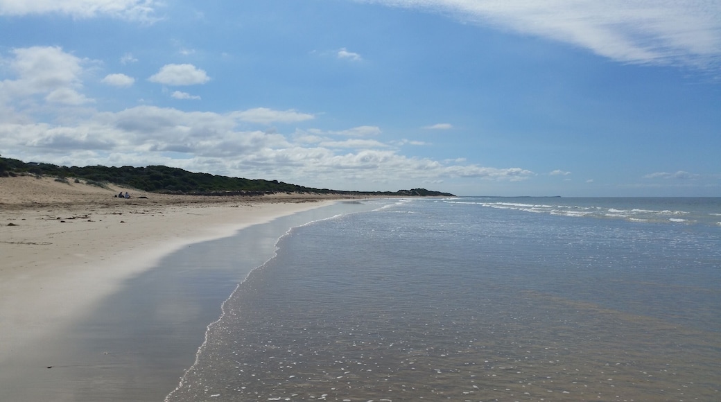 Hello sparkly sunny Victorian day! Fishermans Beach in Torquay is the perfect expansive stretch of coast for a long walk on the beach and parts of it are dog friendly and dog off lead so its a great stop if your travelling with pets!