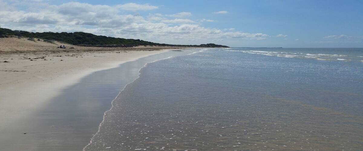 Hello sparkly sunny Victorian day! Fishermans Beach in Torquay is the perfect expansive stretch of coast for a long walk on the beach and parts of it are dog friendly and dog off lead so its a great stop if your travelling with pets!