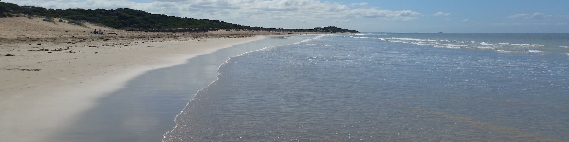 Hello sparkly sunny Victorian day! Fishermans Beach in Torquay is the perfect expansive stretch of coast for a long walk on the beach and parts of it are dog friendly and dog off lead so its a great stop if your travelling with pets!