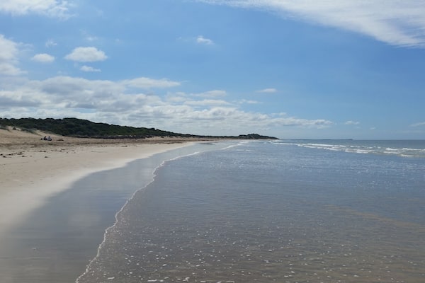 Hello sparkly sunny Victorian day! Fishermans Beach in Torquay is the perfect expansive stretch of coast for a long walk on the beach and parts of it are dog friendly and dog off lead so its a great stop if your travelling with pets!