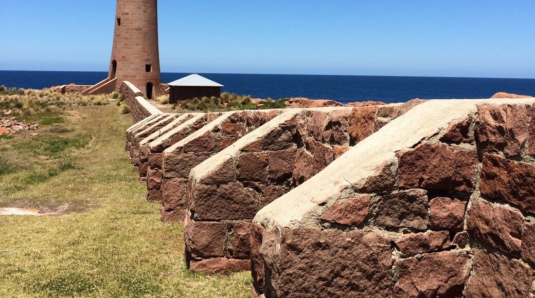 The lighthouse on Gabo Island guards the eastern entrance to Bass Strait in #Australia. It is an active navigation lighthouse and weather station for the Australian Bureau of Meteorology.
It was built in 1853 from red granite sourced on the island. The wind blew down the windbreak wall, so buttresses were added for stability.
We went to the top for perfect 360 degree views on a blue sky day.
Access to the island is generally by boat and one can stay overnight!
#Hiking
#Blue
#Outdoors