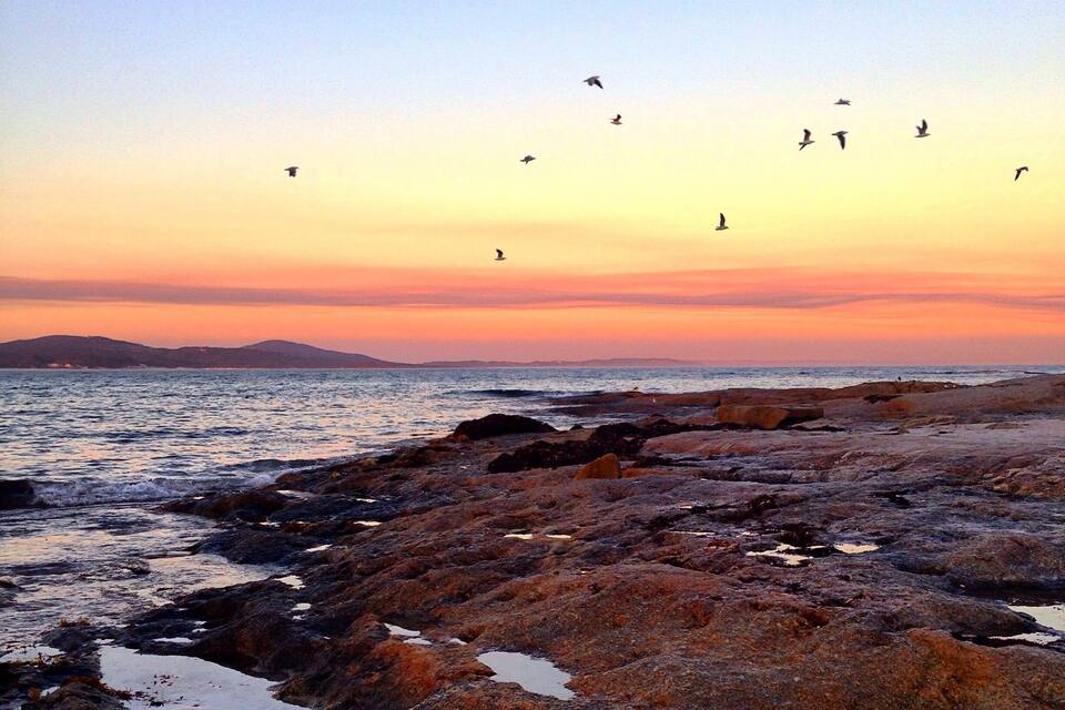 A rocky shoreline at sunset with birds flying.