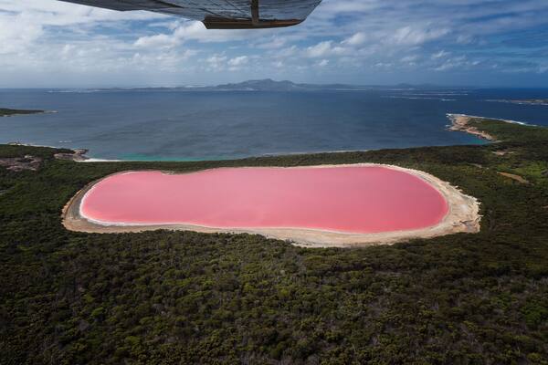 Pink Lake!